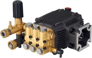 Canpump CF 3030 G: 3000 psi @ 3.1 US gpm, 3/4-in Shaft Pressure Washer Pump