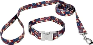 Country Brook Petz - Premium Spirit of '76 Dog Collar and Leash - Americana Collection Featuring Patriotic Designs (1 Inch, Medium)