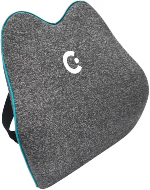 Cubii Cushii V2 Back Support Cushion for Back and Lower Back Pain Relief Universal Fit for Desk, Office, Kitchen Chairs, Couch Cushions with Advanced Lumbar Support