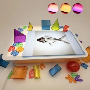 Kids Light Table | Light Up Sensory Table | Shine Bright Light Box | Education Tracing Light Box | LED Light Table 3 Modes,10-Level Dimming(Orange,Lightbox only)