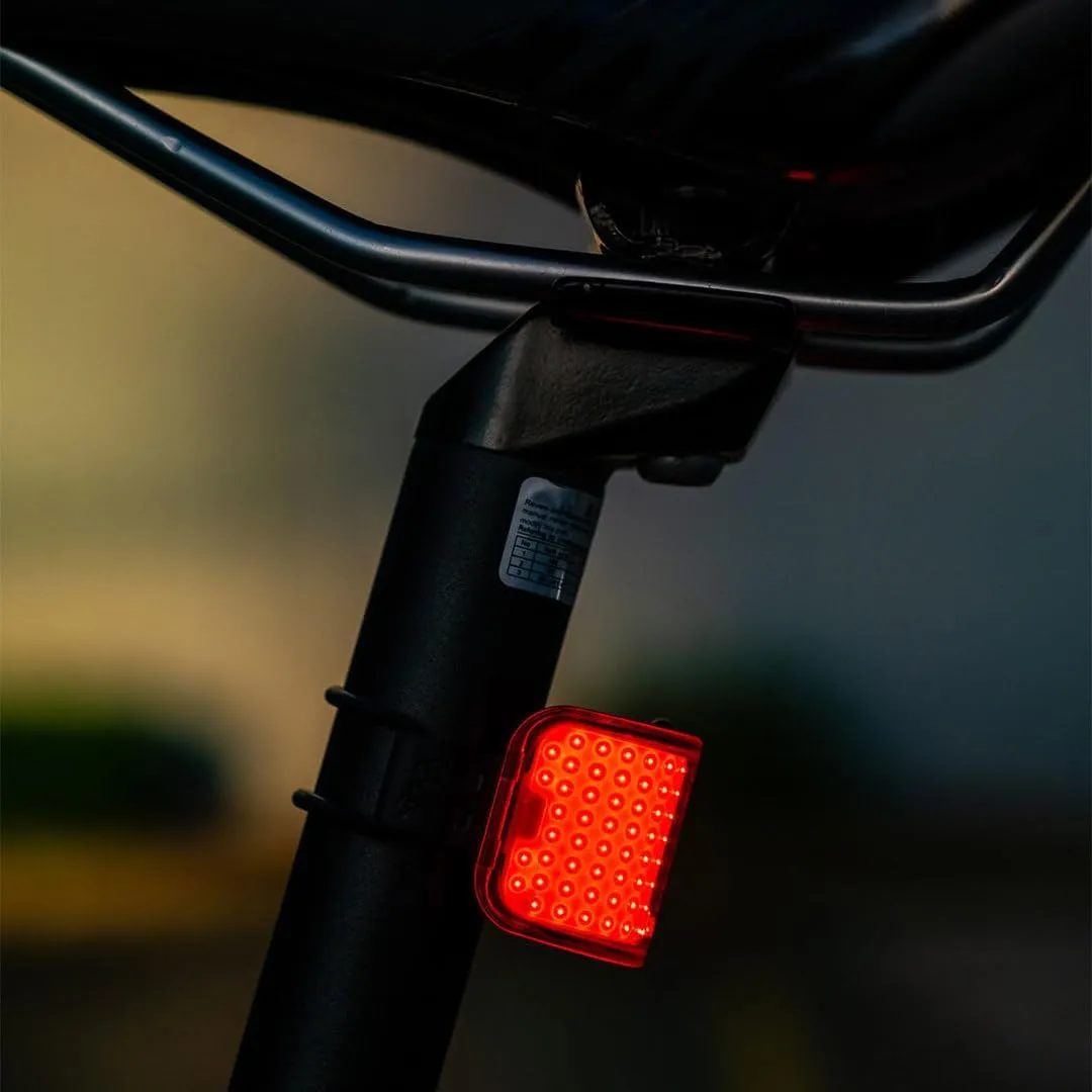 KNOG Mid Cobber