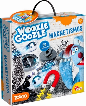 Lisciani GOOZLE Magnetism DE89345WG Experiment Set for Beginners and Children from 8 Years