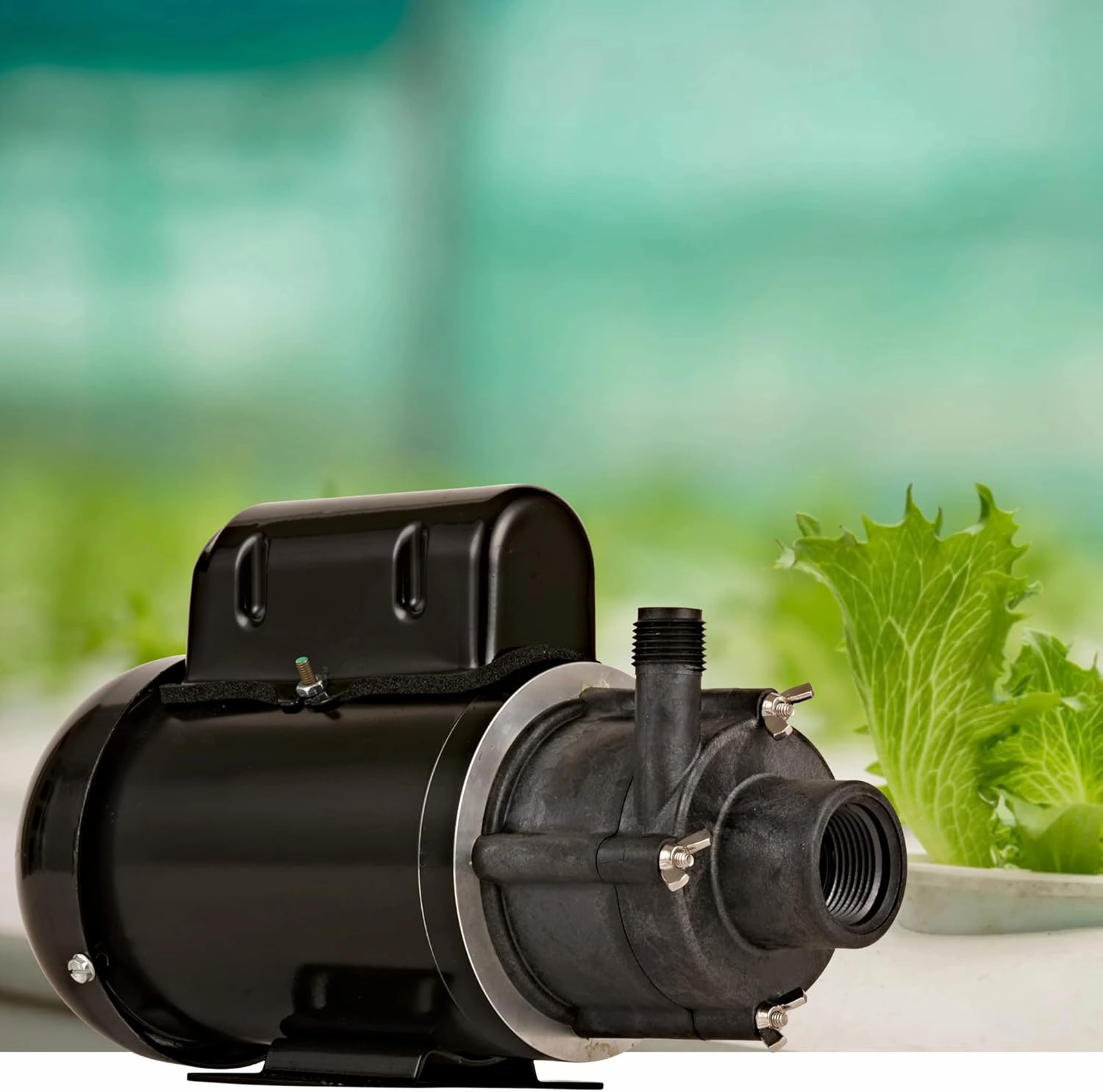 Little Giant TE-5-MD-HC 115/230 Volt, 1/8 HP, 1200 GPH Non-Submersible Highly Corrosive Chemical Magnetic Drive Pump with 6-Ft. Cord (Plug-less), Black, 584604