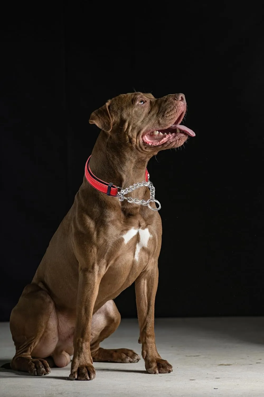 Martingale Collar for Dogs, Reflective Nylon Soft Padded No Pull Training Collars Adjustable Stainless Steel Chain Collar for Small Medium Large Dogs Red X-Large
