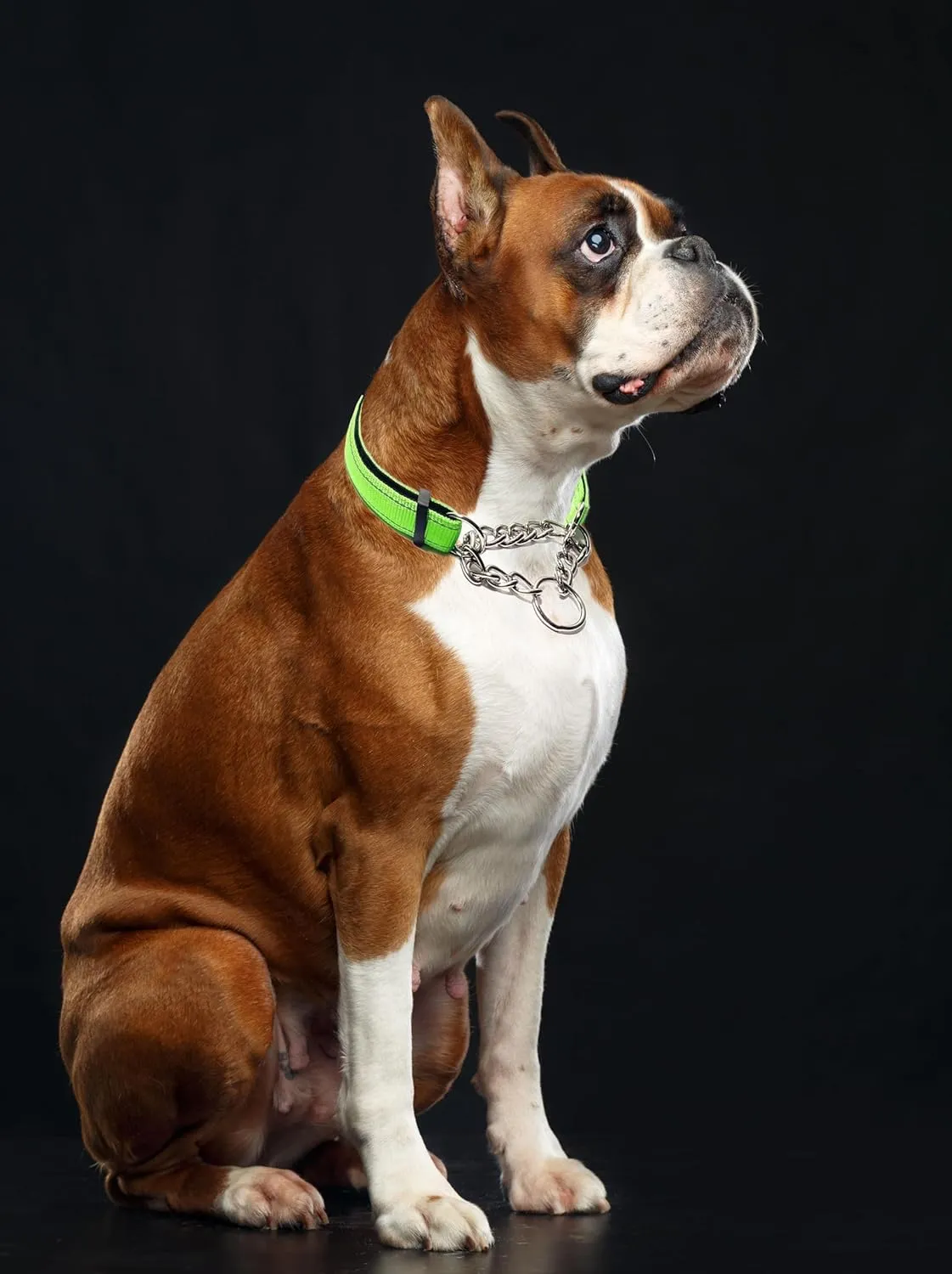 Martingale Collar for Dogs, Reflective Nylon Soft Padded No Pull Training Collars Adjustable Stainless Steel Chain Collar for Small Medium Large Dogs Red X-Large