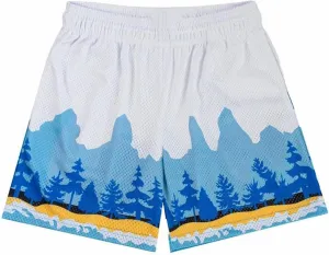 Mens Mesh Graphic Print Athletic Running Shorts Mens Fashion Quick-Dry Shorts for Basketball Workout