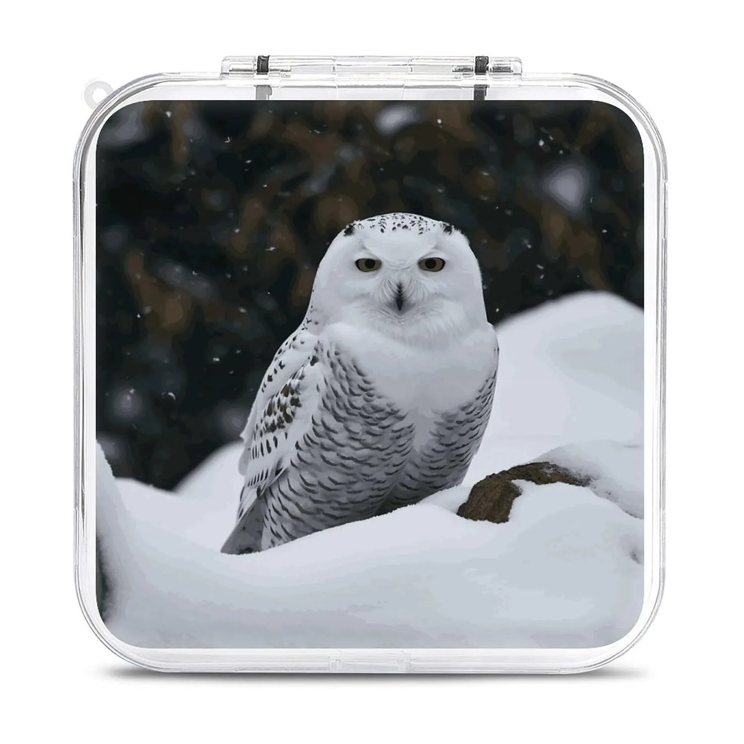 QMNBTES Snow Owl Switch Game Case Switch Game Holder Cartridge Case Storage 12 Games & 2 Micro Sd Card Slots, Travel Carry Cases, Portable Games Card Storage, Hard Shell, Buckle Closure