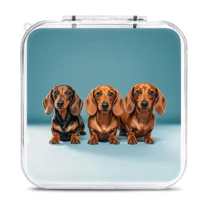 QMNBTES Three Dachshunds Switch Game Case Switch Game Holder Cartridge Case Storage 12 Games & 2 Micro Sd Card Slots, Travel Carry Cases, Portable Games Card Storage, Hard Shell, Buckle Closure