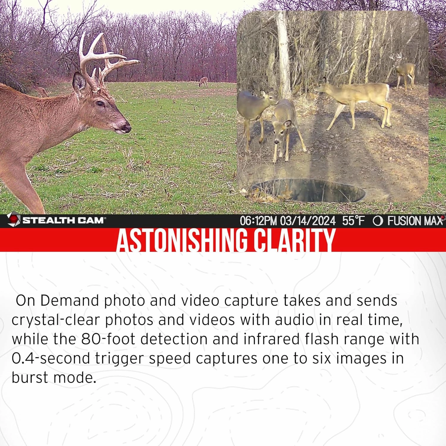 Stealth Cam 36MP Fusion Max Cellular Trail Camera with 80 Feet Detection Range (4-Pack) Bundle with 4X Camera Holder, 4X 32GB Memory Card, and Card Reader (13 Items)