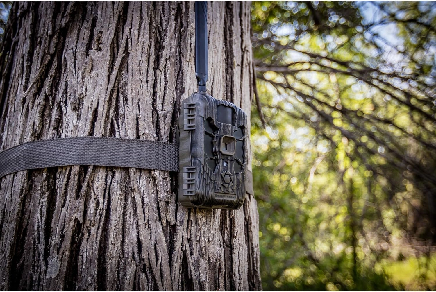 Stealth Cam Deceptor NO GLO 80ft Detection & IR Range 40MP Photo 1440P HD Video Capture Hunting Cellular Trail Camera and FieldMax Lithium Rechargeable Battery Cartridge - Dual Network